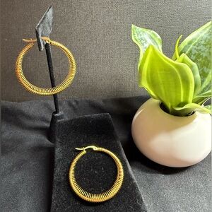 Elegant Gold Hoop Earrings